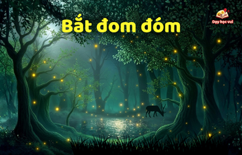 Bắt đom đóm
